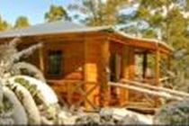 Cradle Forest Inn