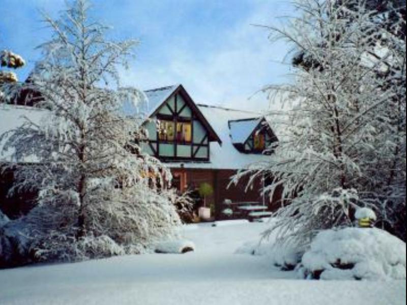 Hotel Cradle Forest Inn 3*