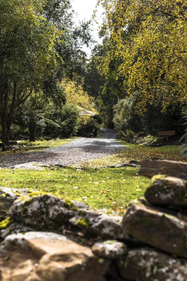 Hotel Cradle Forest Inn Moina